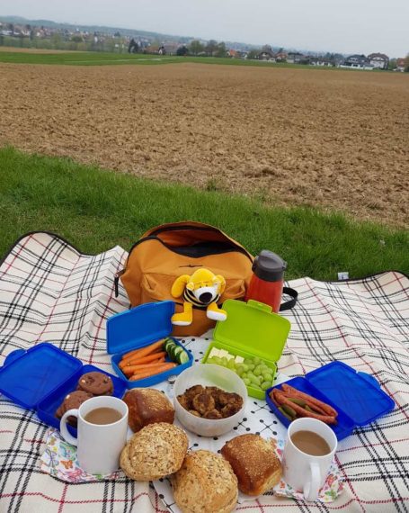 Picknick in der Natur